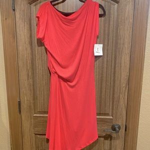 Rachel Roy dress